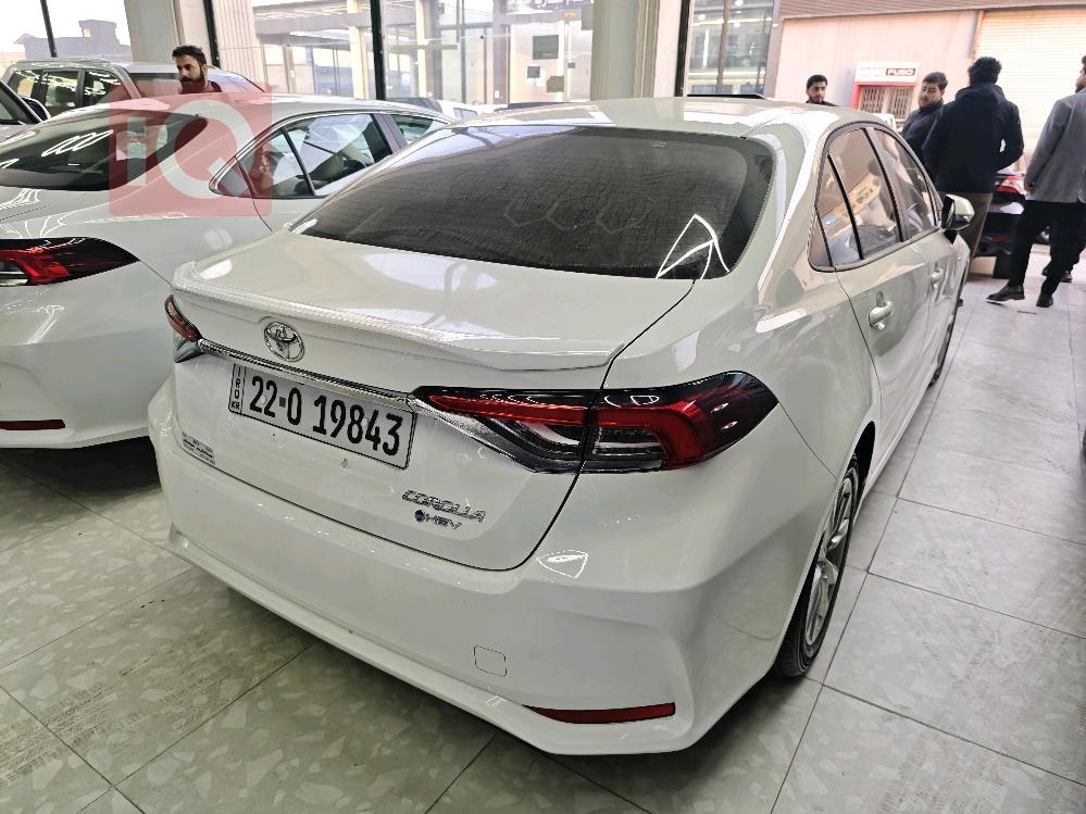 تويوتا كورولا